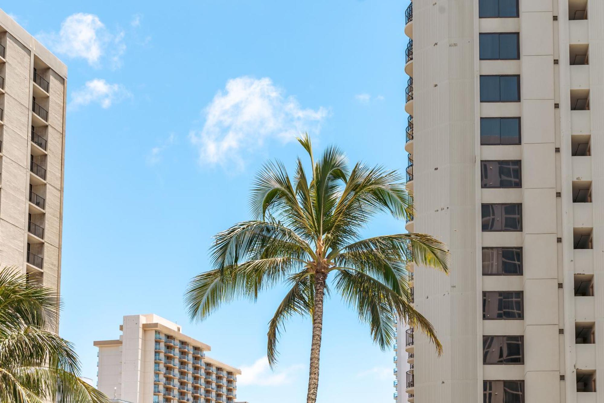 شقة Beautiful Ocean And Diamond Head Views With Parking هونولولو المظهر الخارجي الصورة