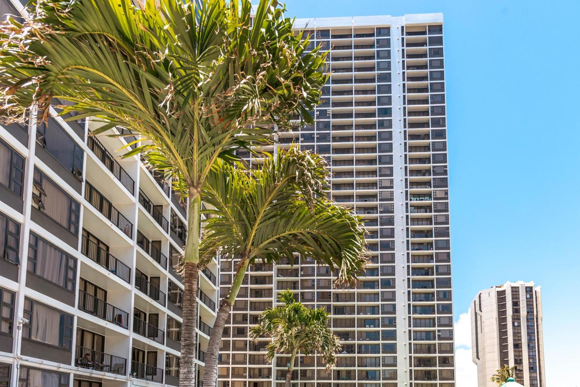 شقة Beautiful Ocean And Diamond Head Views With Parking هونولولو المظهر الخارجي الصورة
