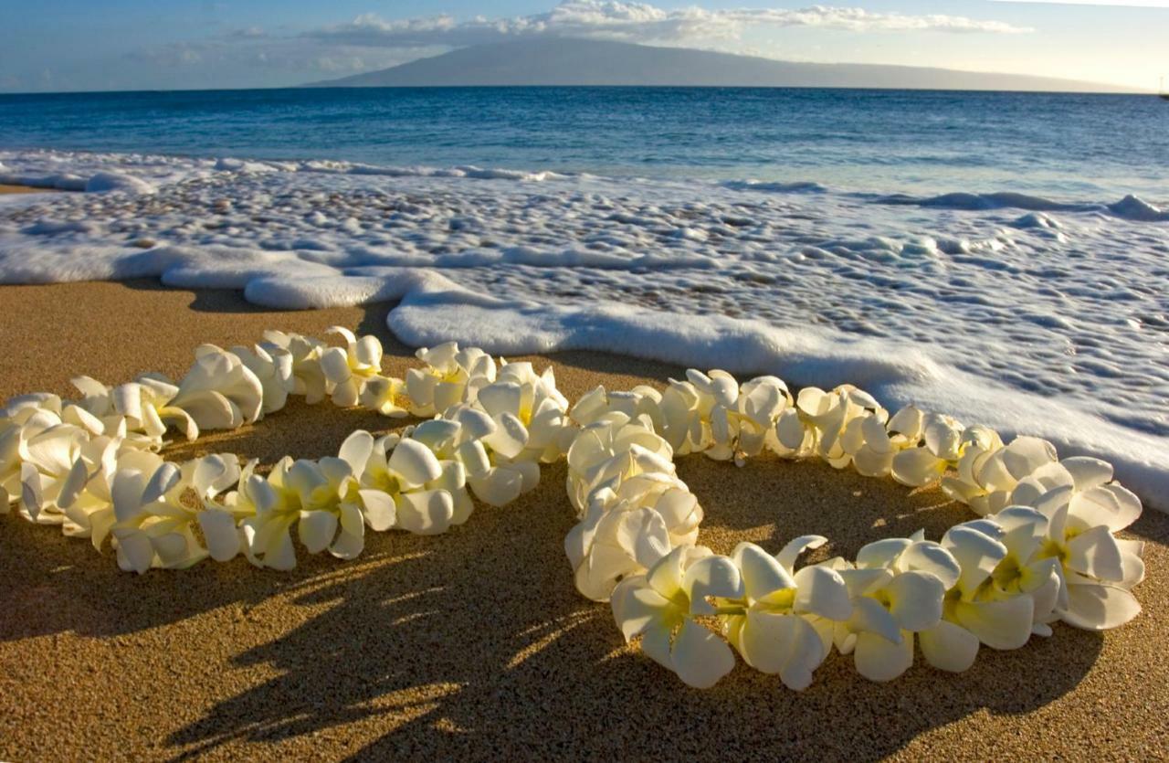 شقة Beautiful Ocean And Diamond Head Views With Parking هونولولو المظهر الخارجي الصورة