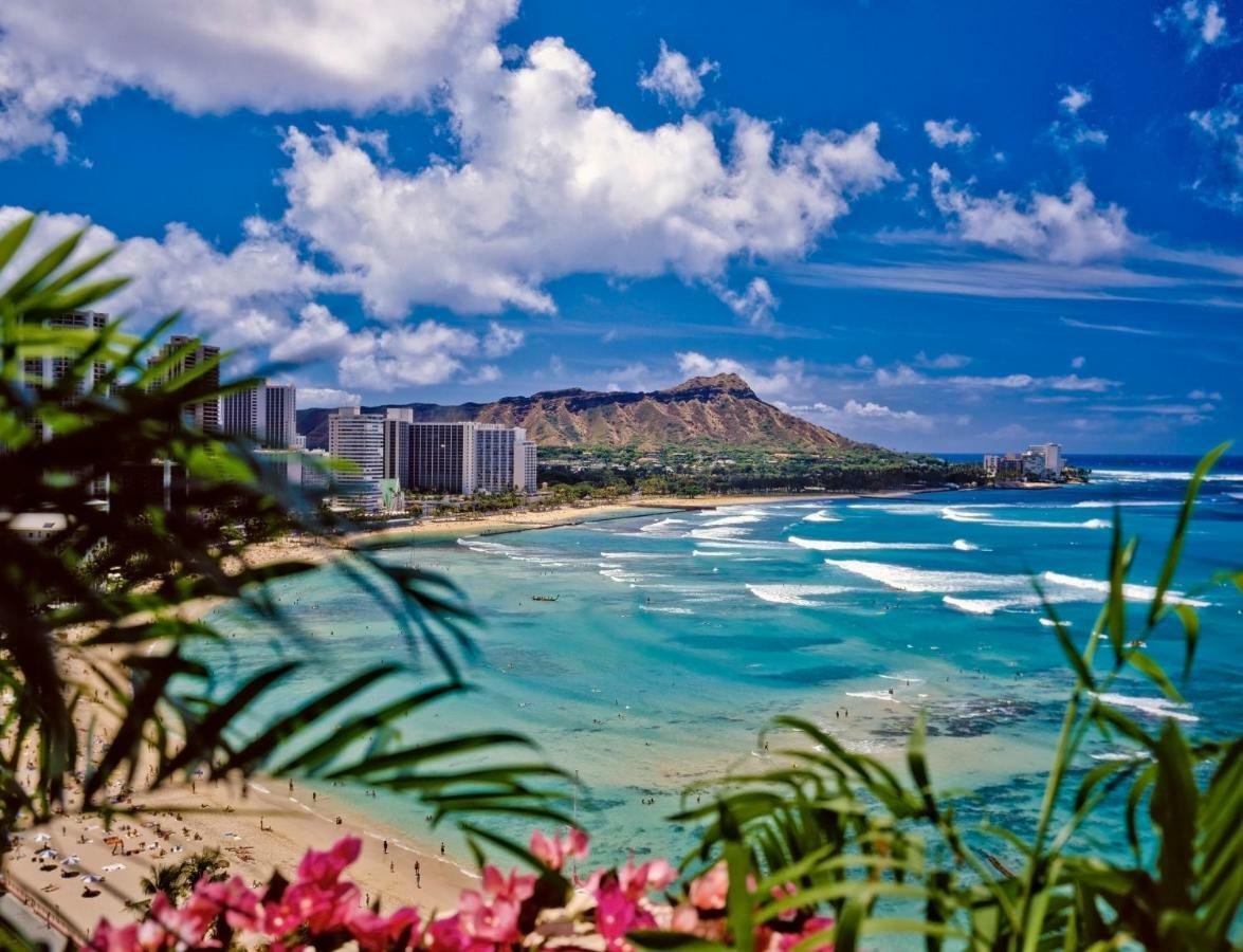 شقة Beautiful Ocean And Diamond Head Views With Parking هونولولو المظهر الخارجي الصورة